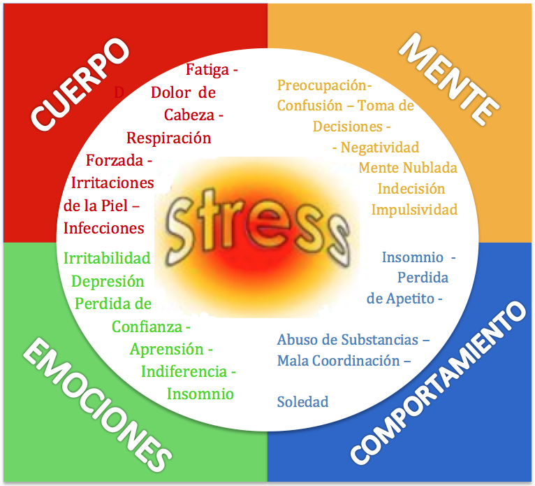 Conexión cuerpo y mente — Families Thrive