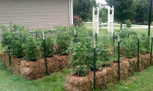 straw-bale-garden_01.jpg
