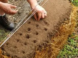 straw-bale-garden_02.jpg