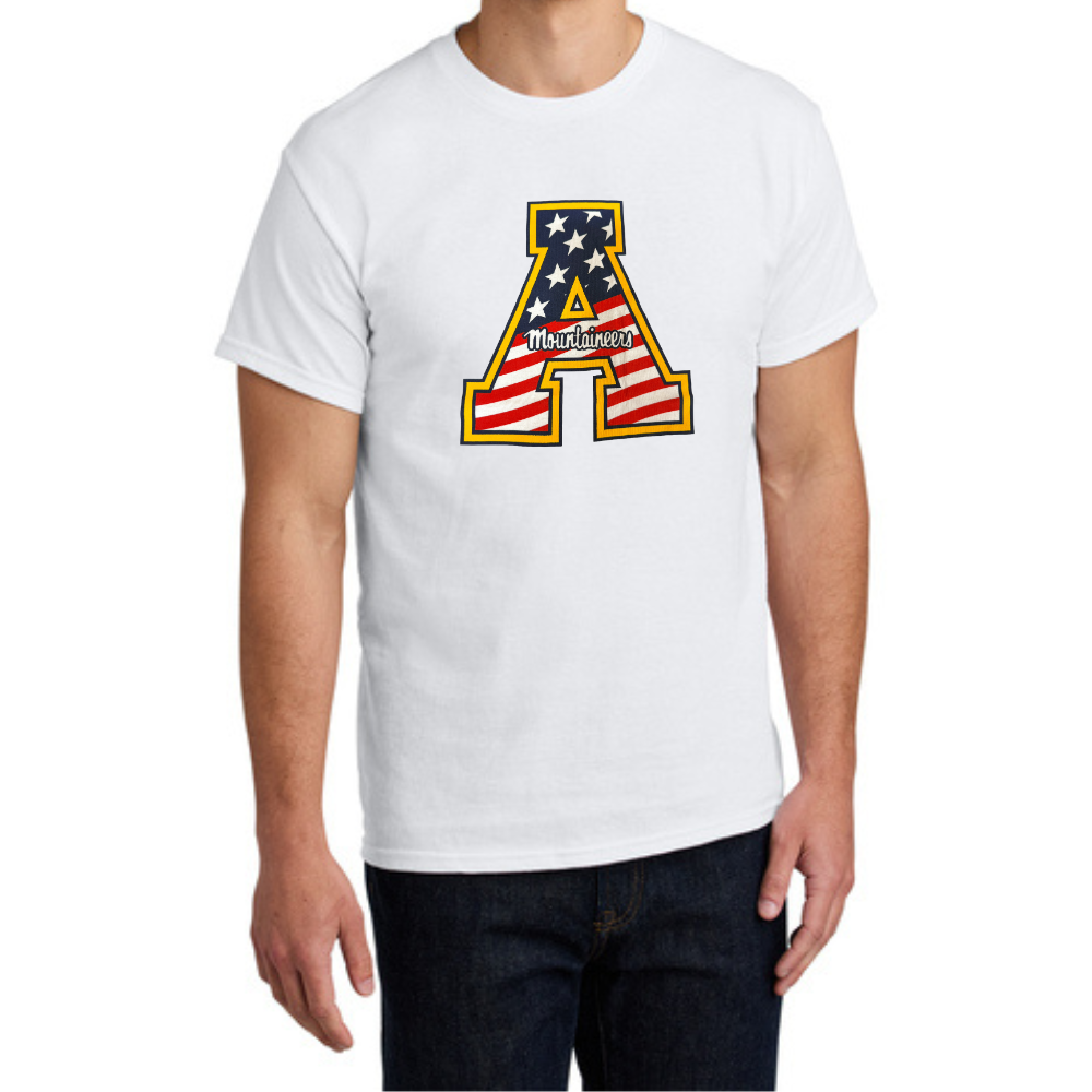 flagmodel.png