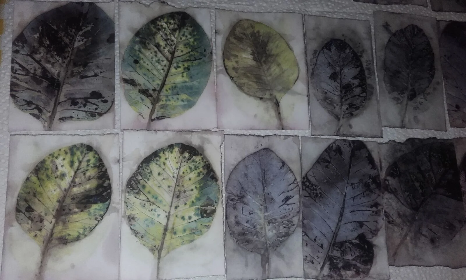 ecoprint (3)_preview.jpeg