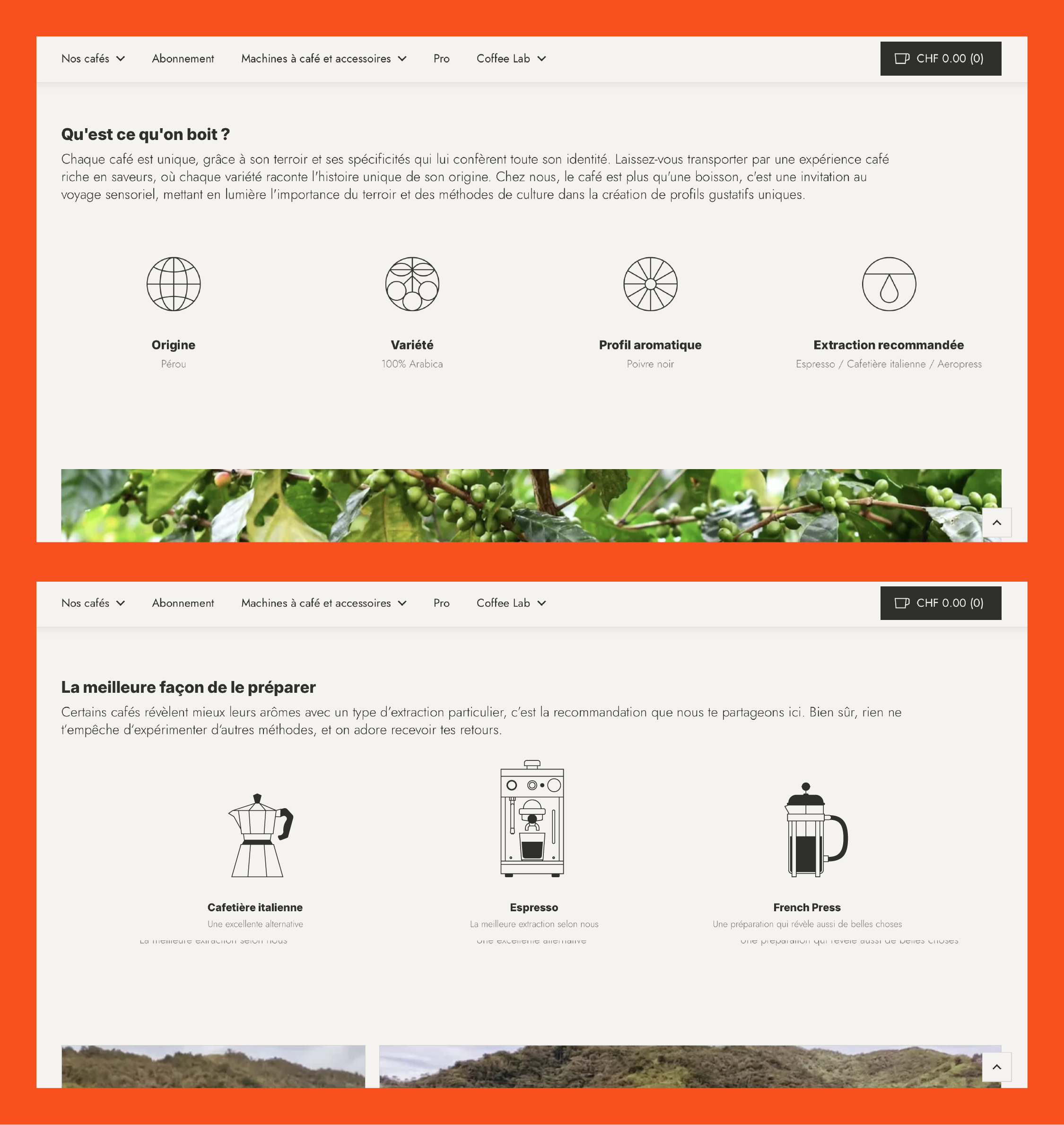 Chronic Coffee | Commercial illustration