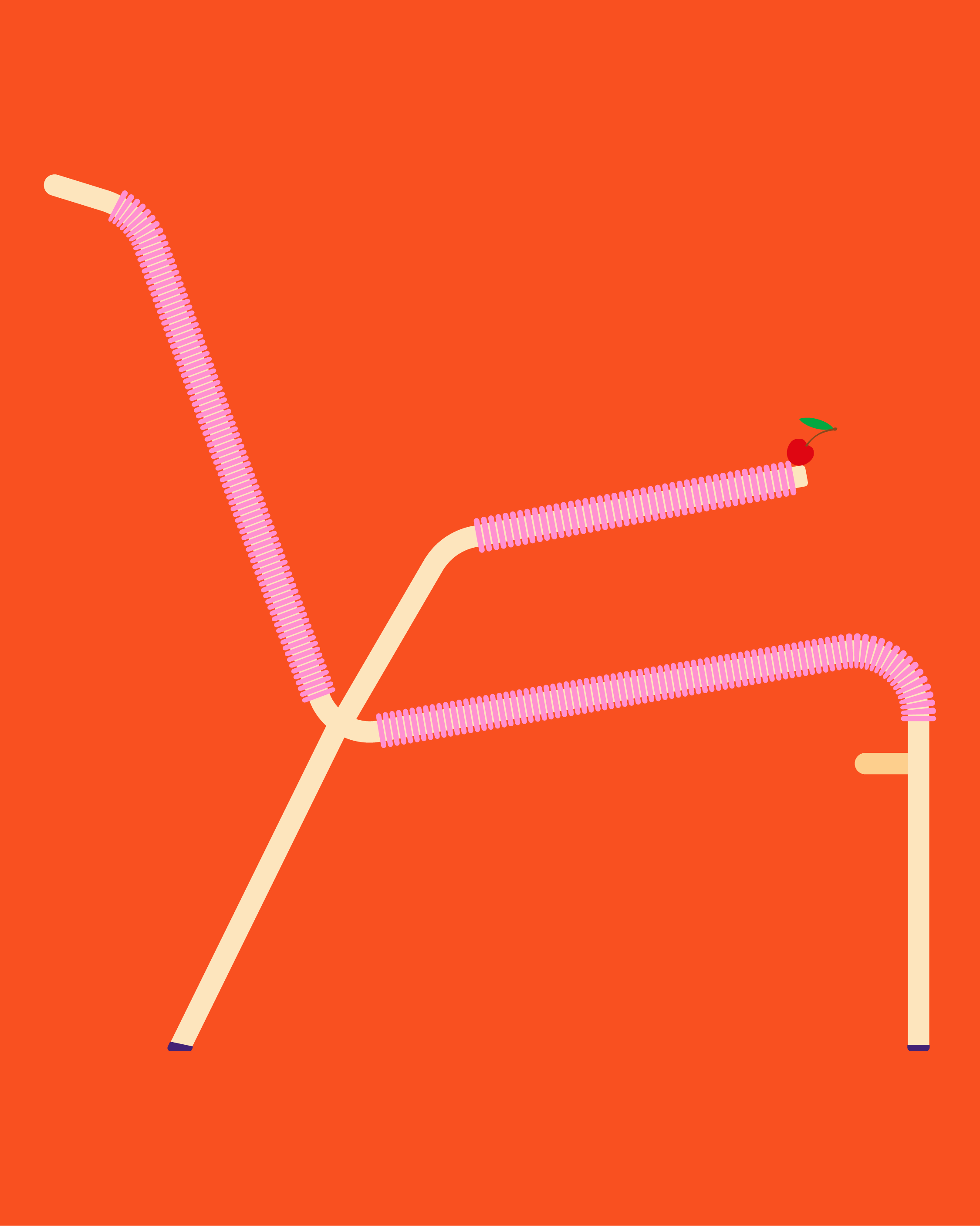 Rocio Egio Shop | Product design