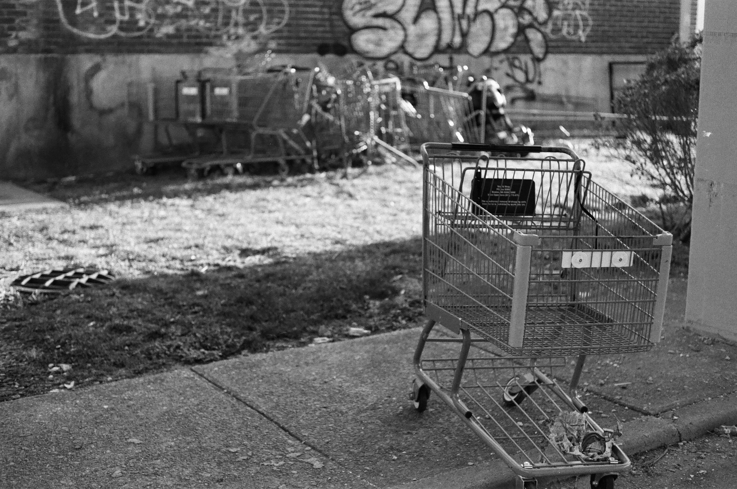 Shopping carts