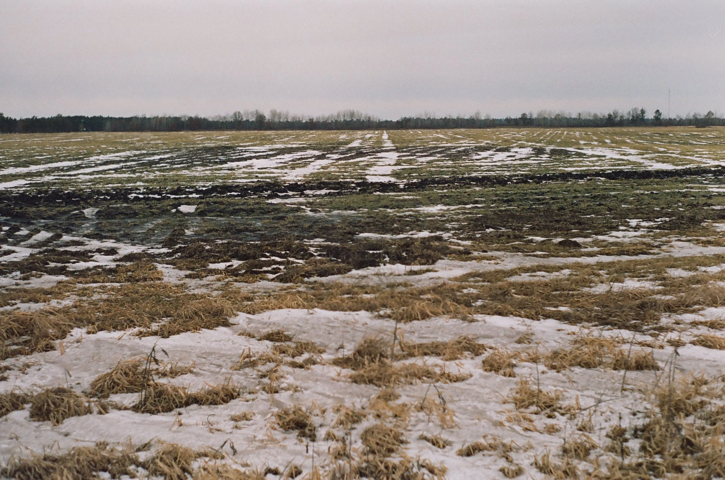   And that’s a wrap.  The goal with this A-Z challenge was to get back in the habit of carrying my camera around, prime the pump. It didn’t really work though, I still go through lulls.  I think the lesson was, don’t worry about it - lulls are necess