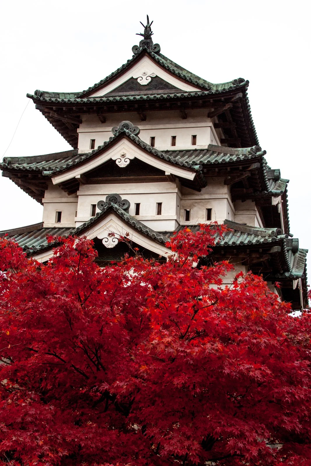 Hirosaki Chrysanthemum Festival