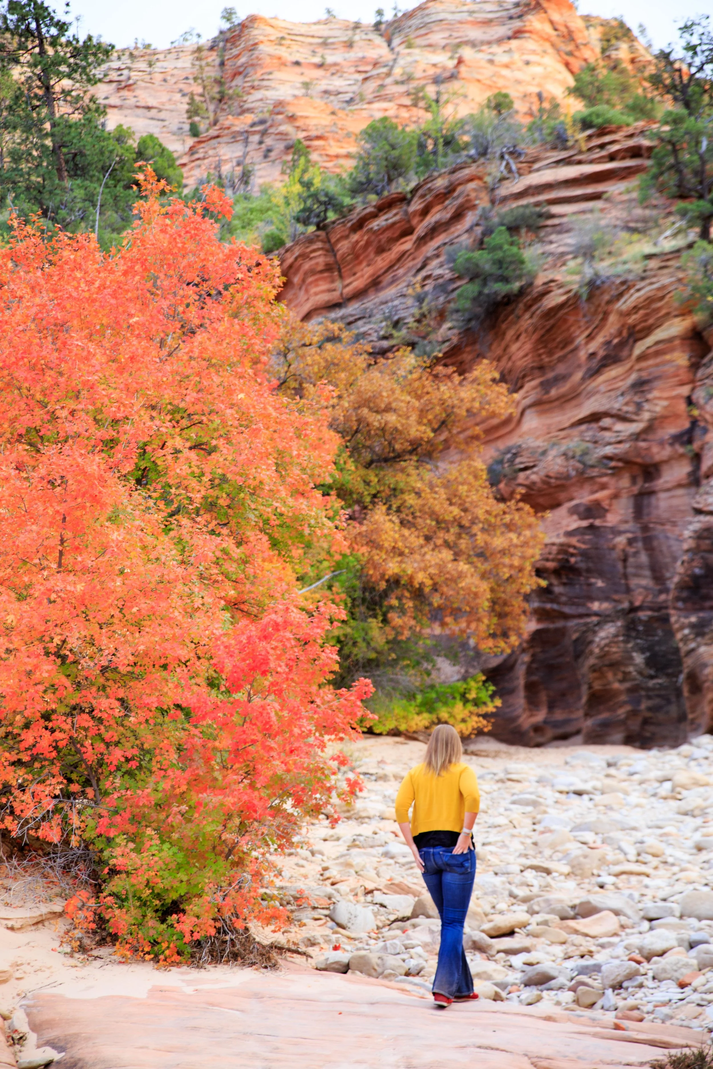 Design Your Fall