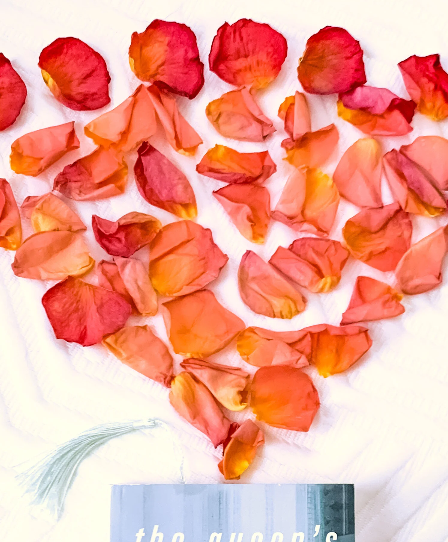 What I read — February 2021