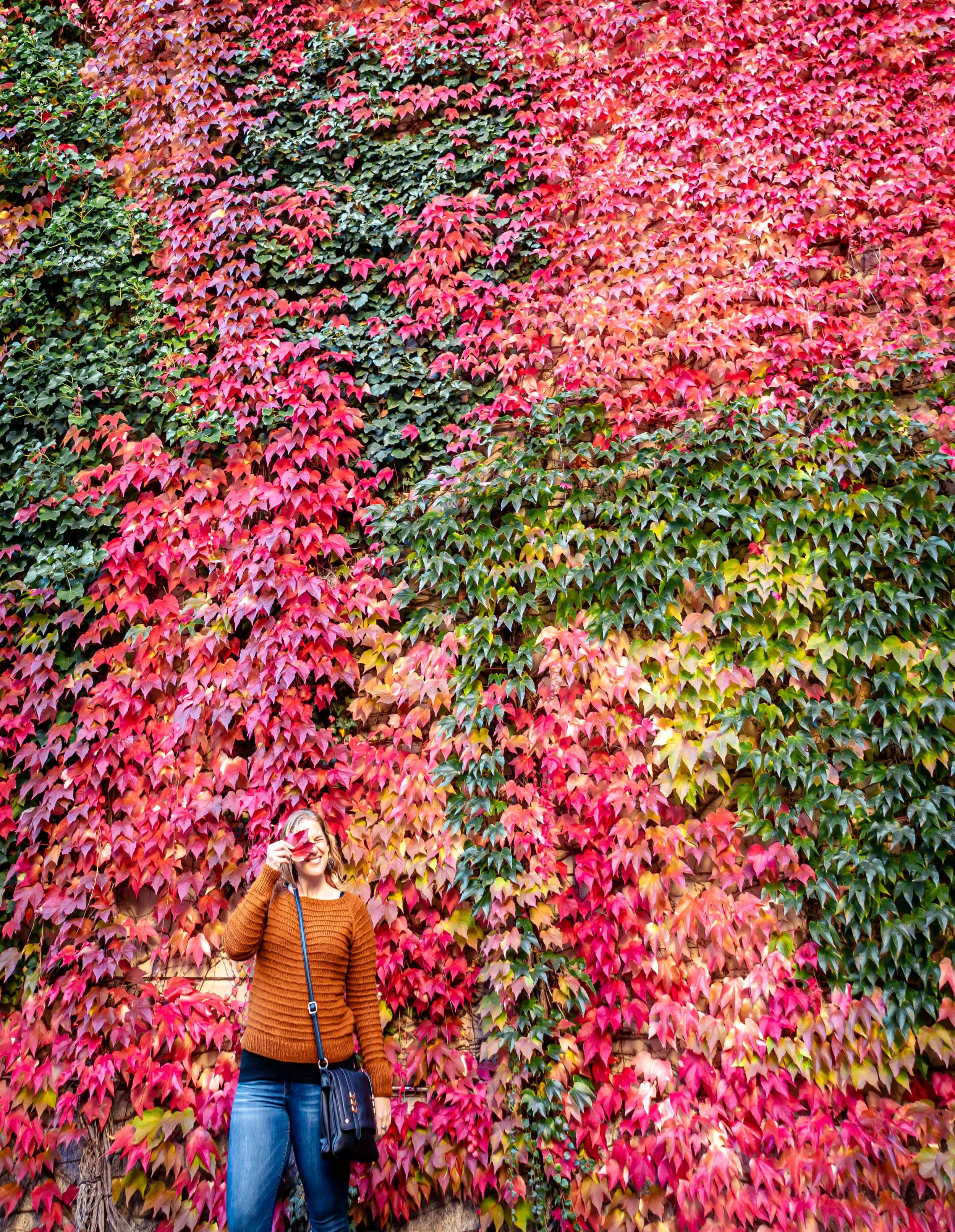 What I Read — September &amp; October 2022