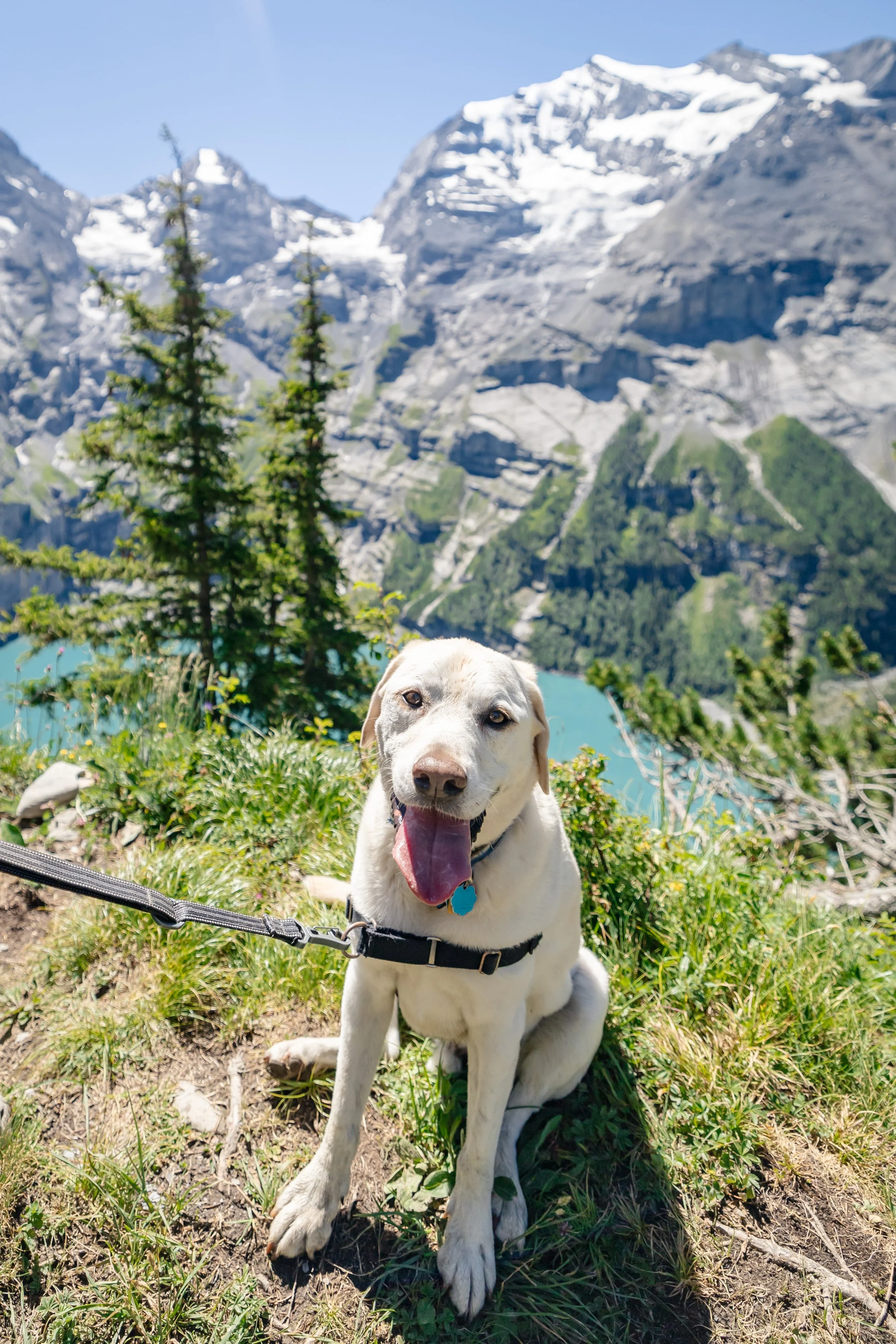 Best Summer Hikes Near Interlaken