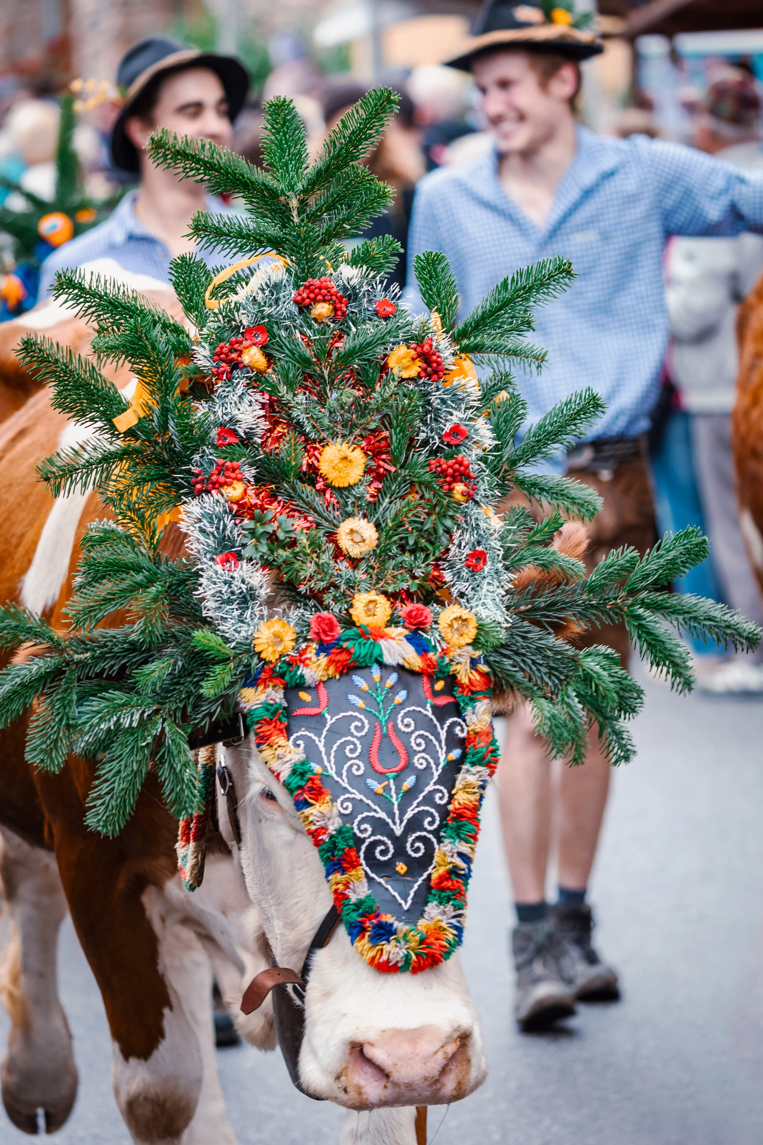 6 Best Autumn Activities in Southern Germany