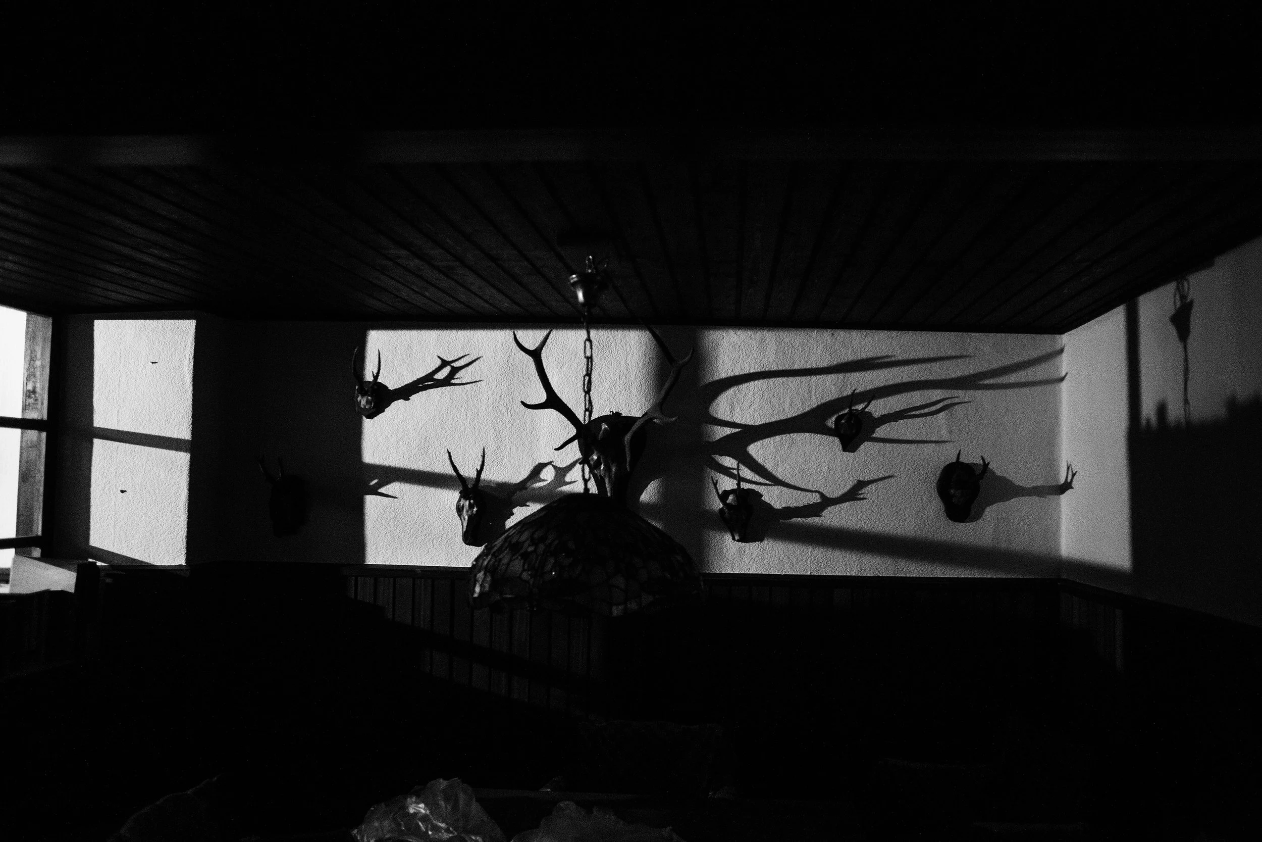 IMG_3257min.jpg