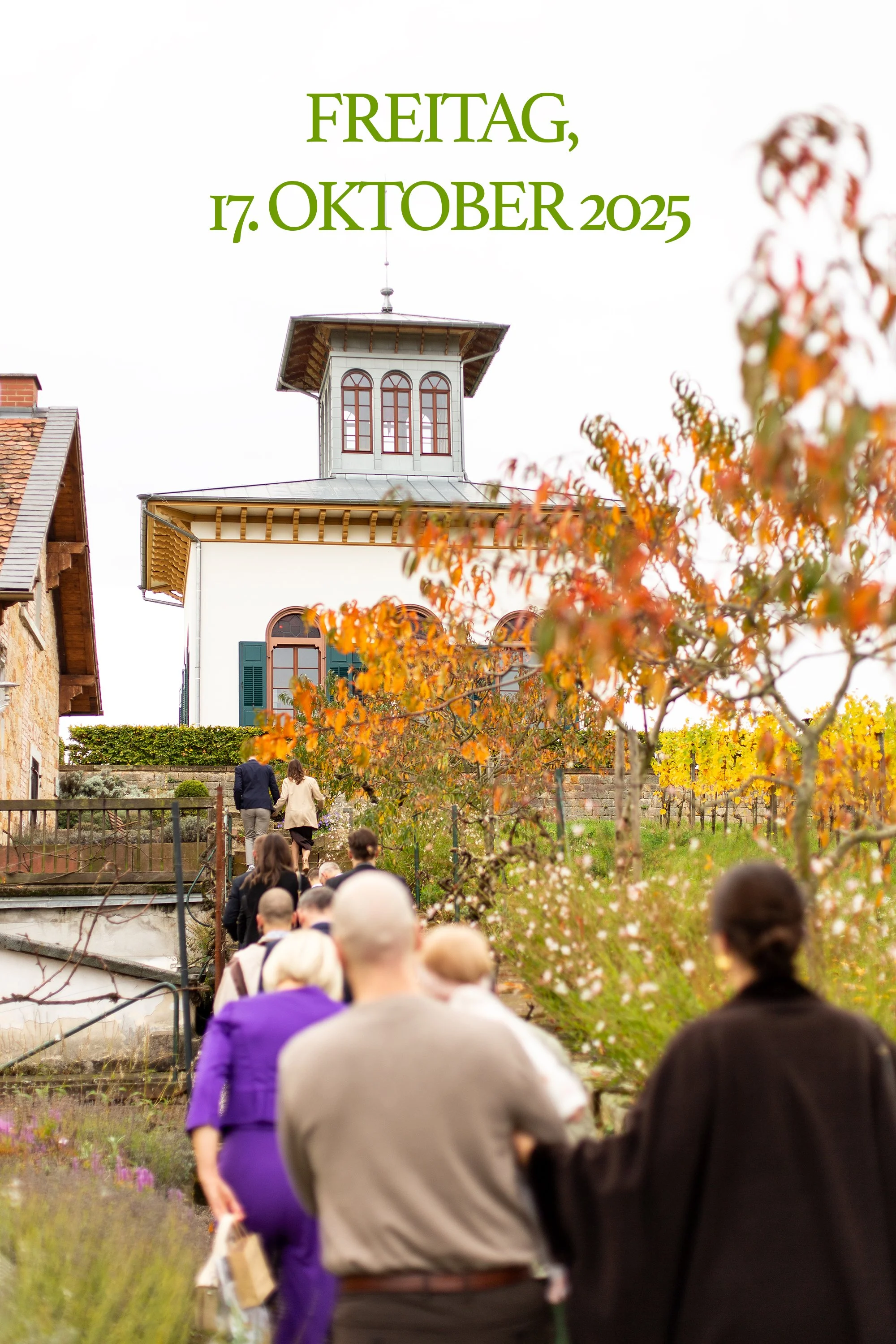 IMG_9939 Kopie 2min.jpg