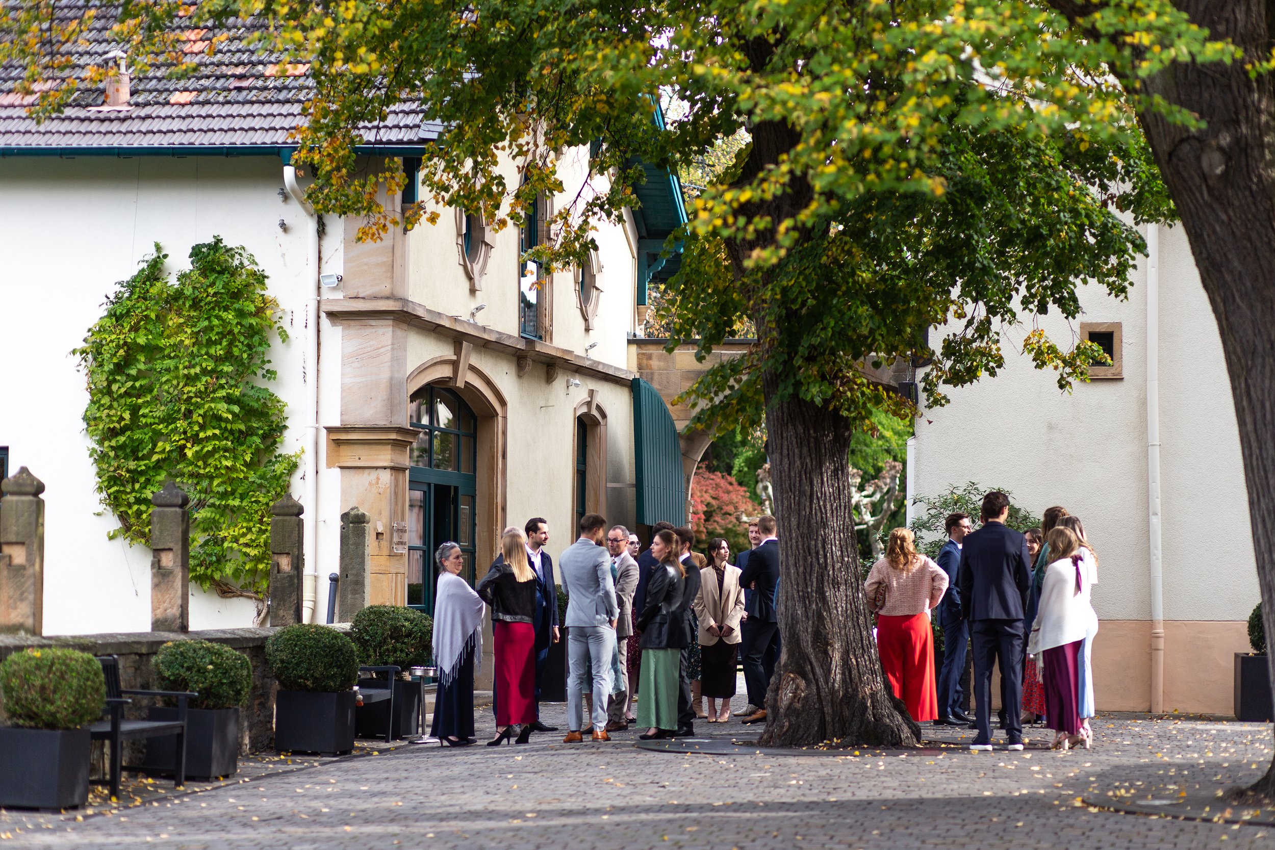 IMG_9878 Kopiemin.jpg