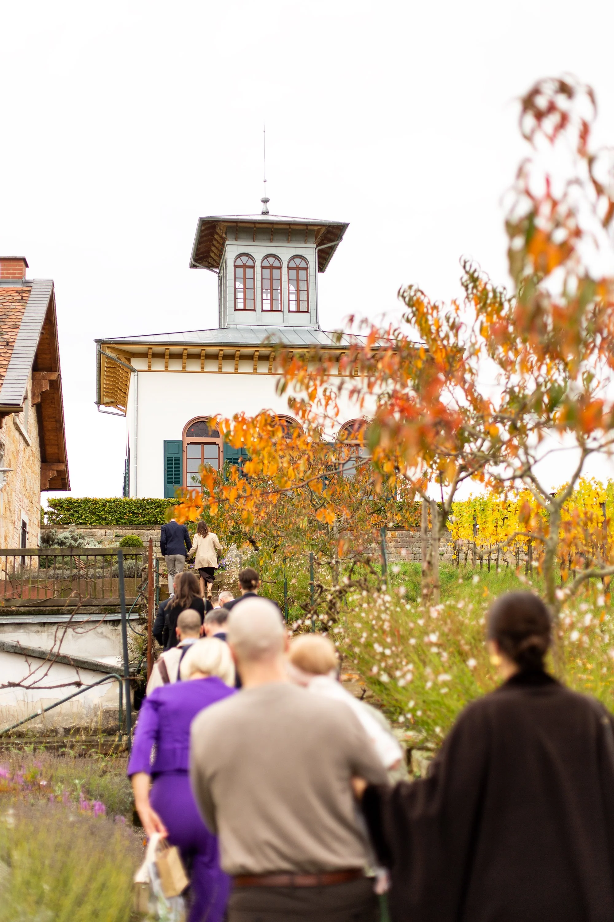 IMG_9939 Kopiemin.jpg