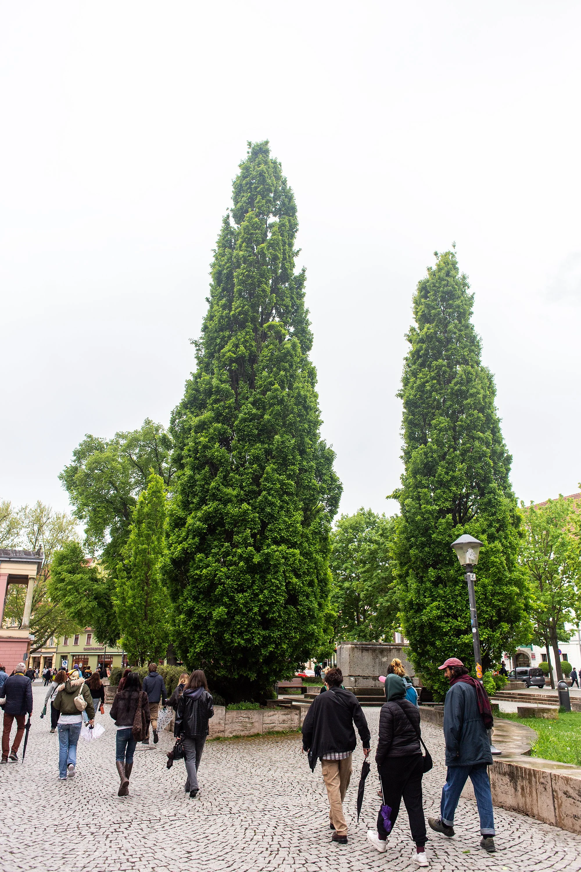 IMG_9750 Kopiemin.jpg