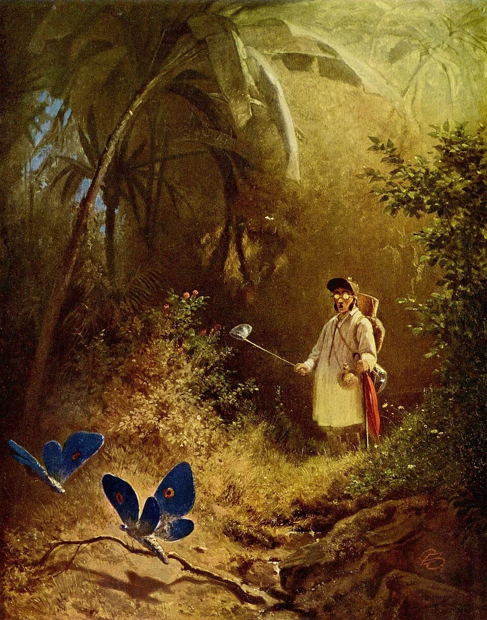 Spitzweg-Schmetterlingsjäger.jpg