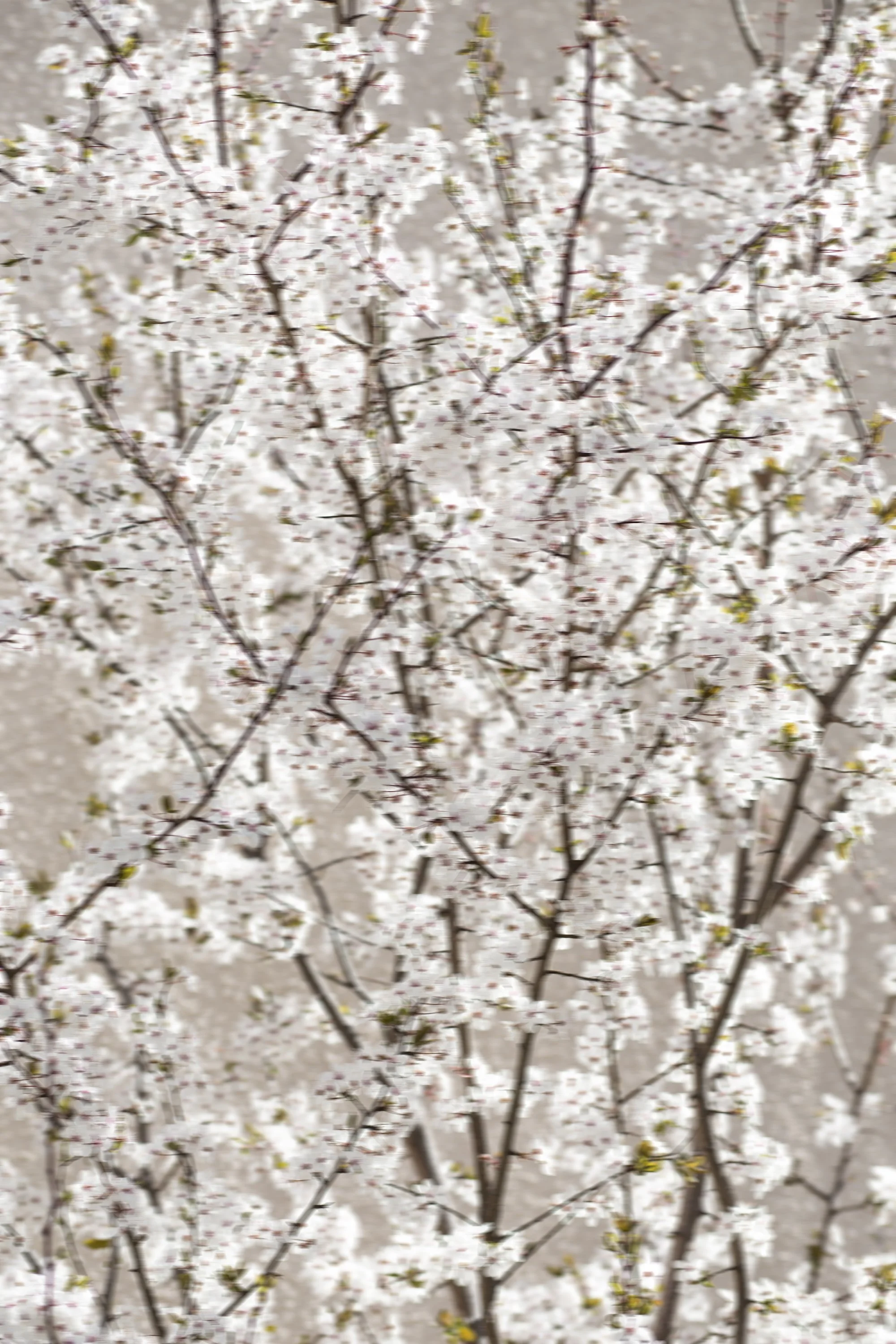 IMG_9817min.jpg