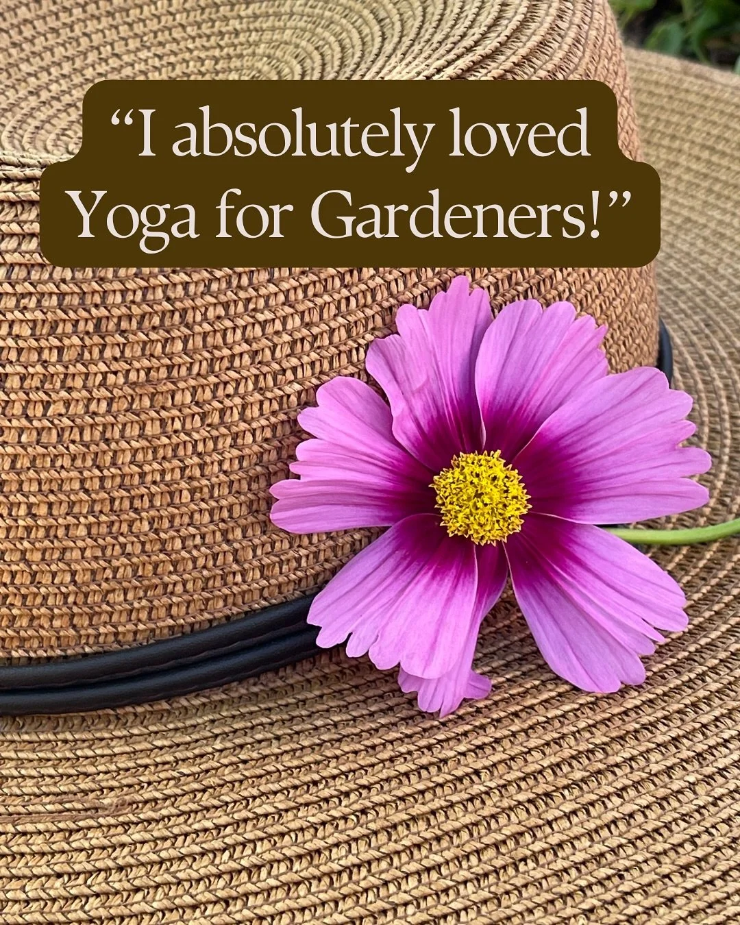 This message from Susan made my day 💚

Yoga for Gardeners isn&rsquo;t just for planting season, as you prep your yard or garden for winter, this series helps you move with ease and protect your back, hips, and knees.

Now through Nov 17, each on-dem