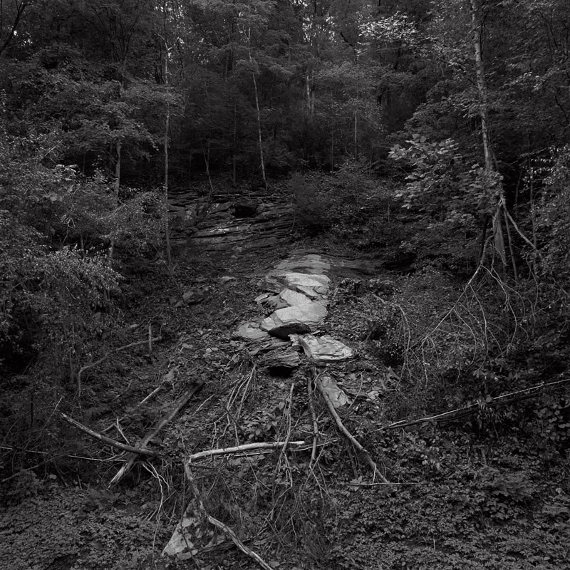 0015_2013_091313_02_12fp.jpg