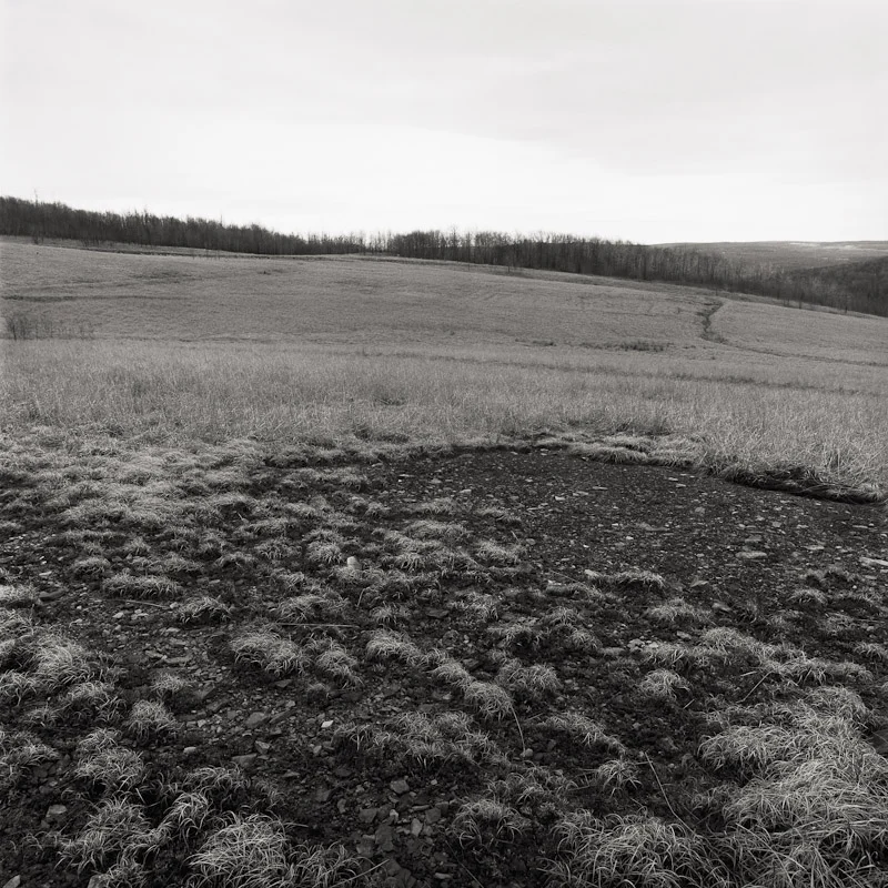 Reclaimed strip mine, Table Rock, Maryland, 1989