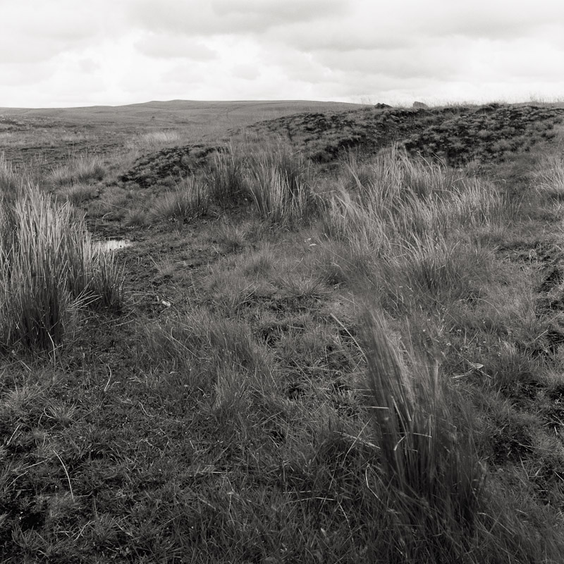  Reclaimed strip mine, Llwynypia, Tonypandy, Wales, 1990 