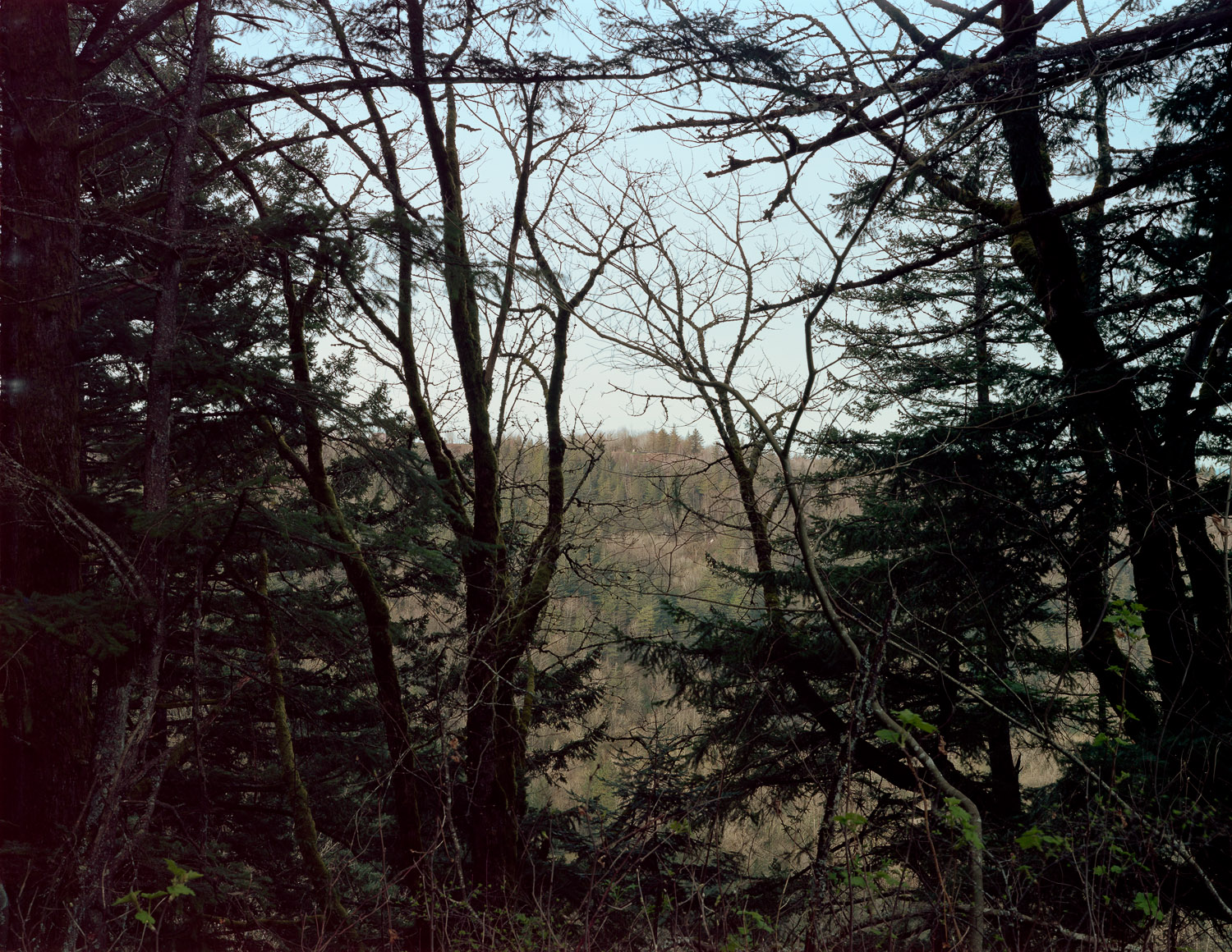  View of Portland Women's Forum, Corbett, OR, 2015 