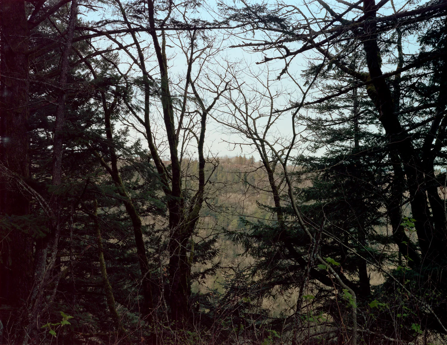 View of Portland Women's Forum, Corbett, OR, 2015