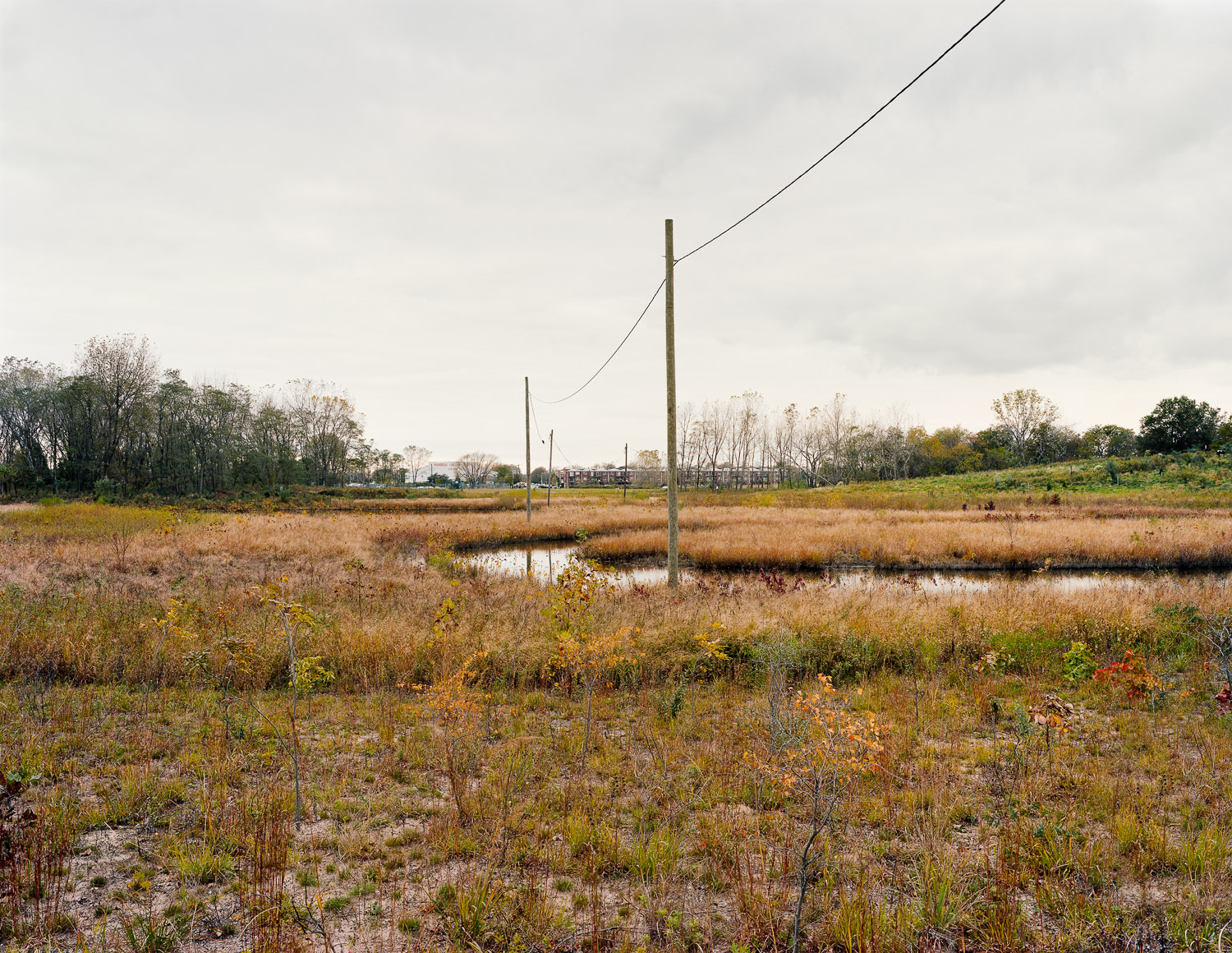  Canarsie, Brooklyn, New York, 2011 