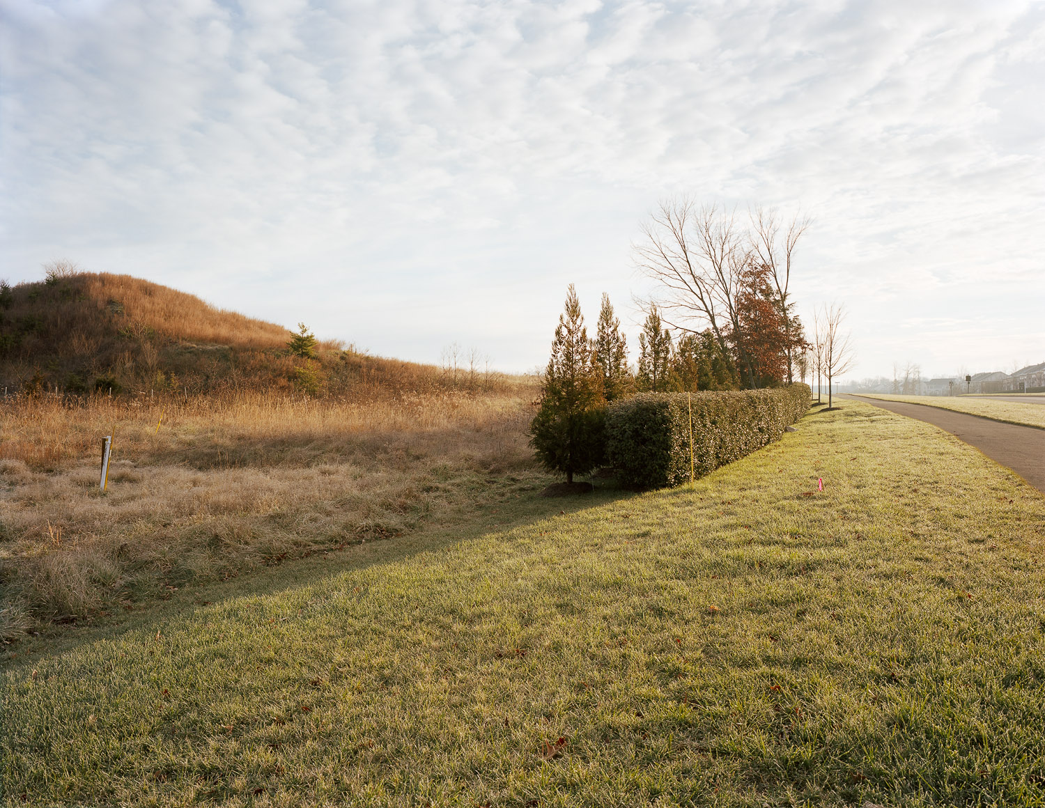  Hedgerow, Aldie, Virginia, 2011 