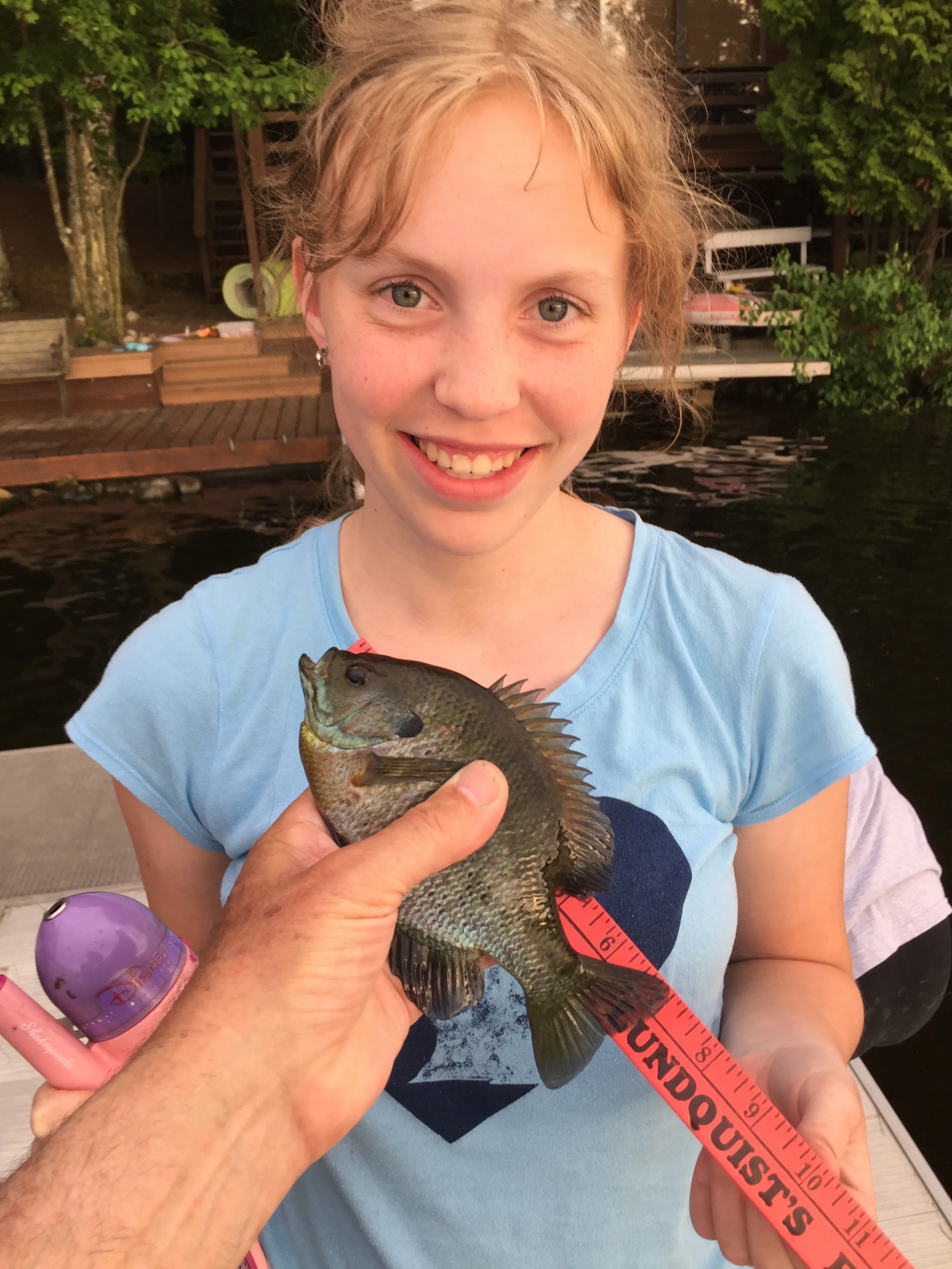 Amelia 7 inch Bluegill