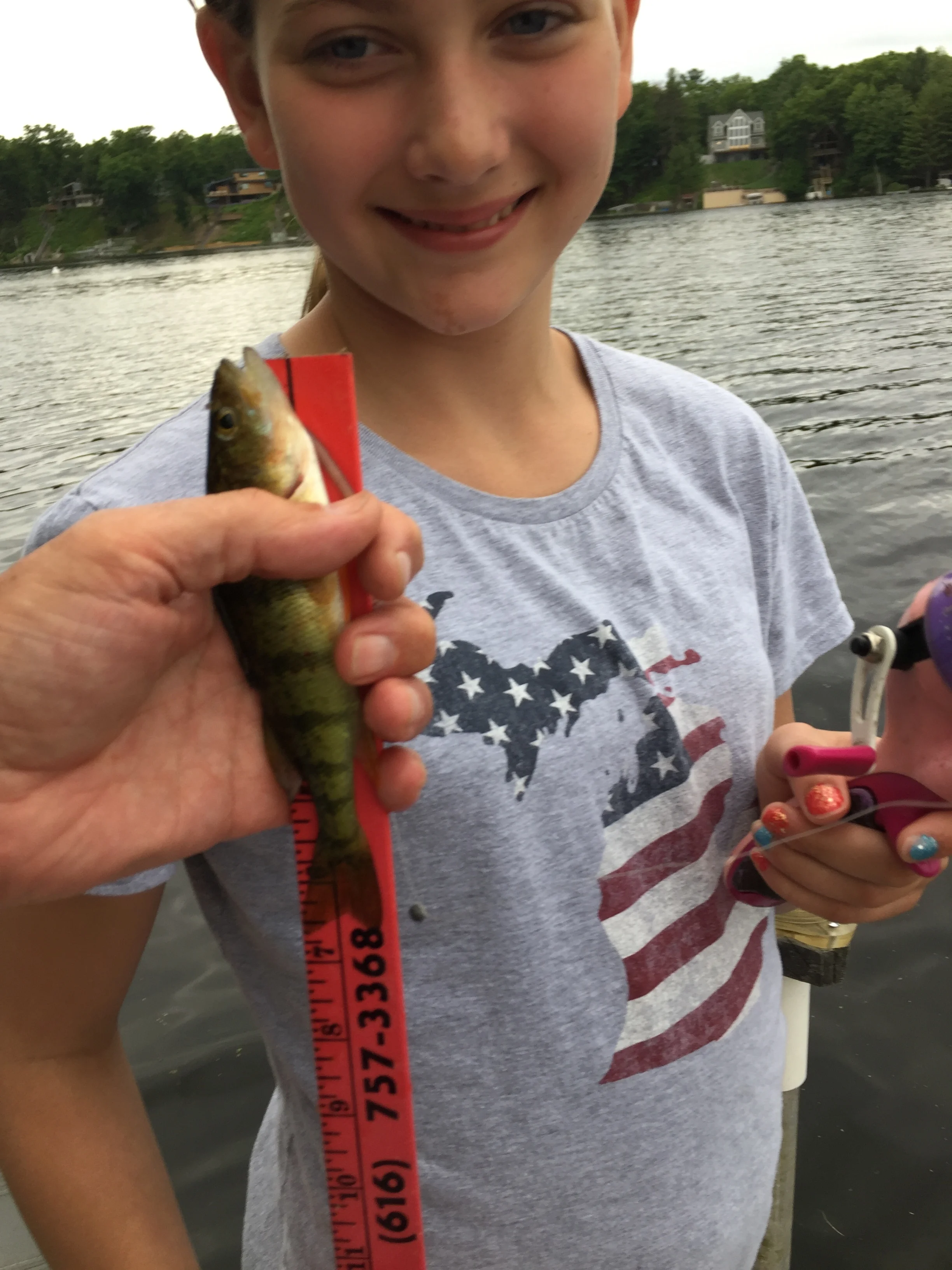 Shelby 7 inch Perch