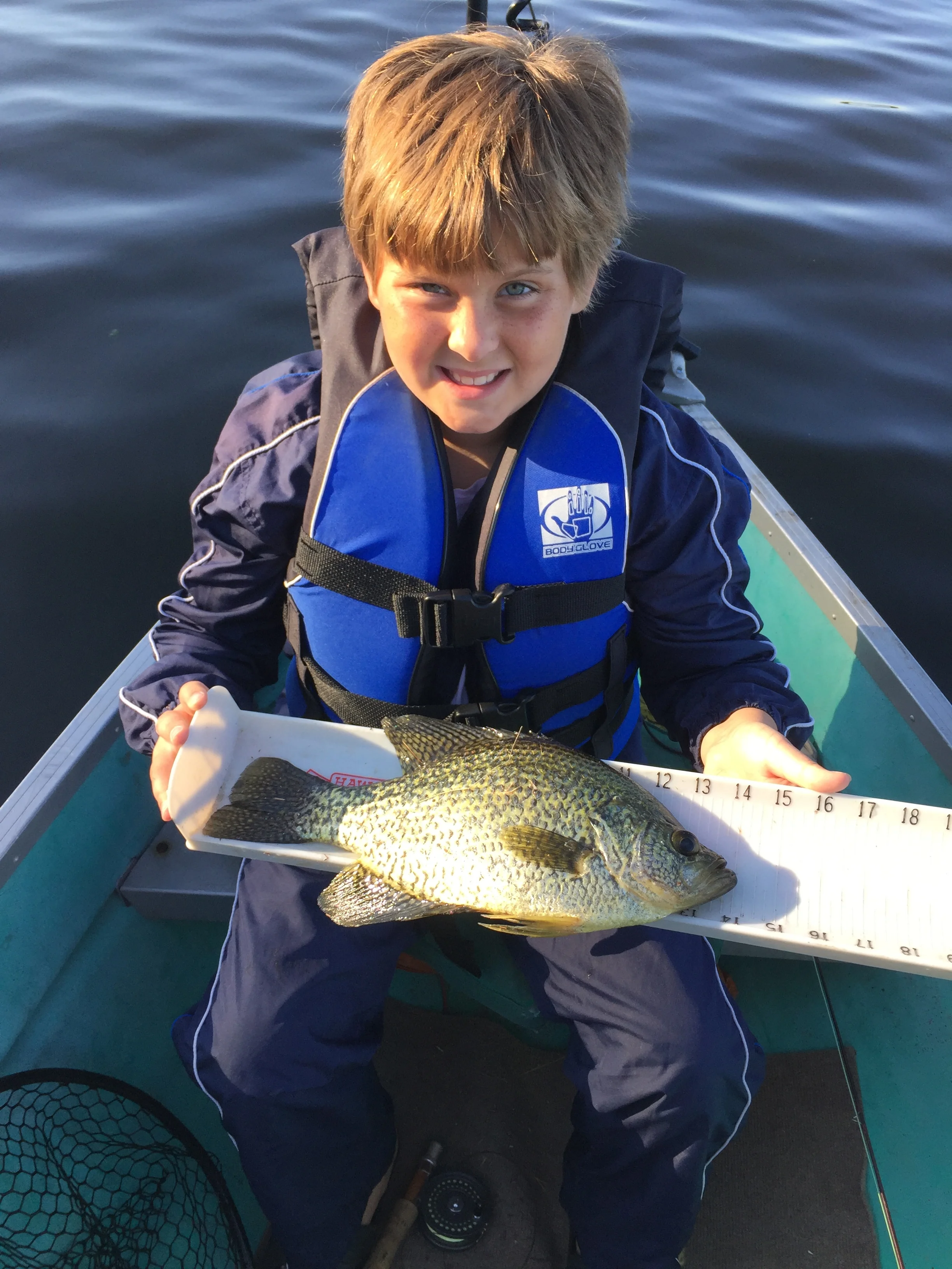 Arica 14 inch Crappie