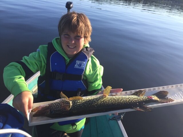 Arica 27 inch Northern Pike 