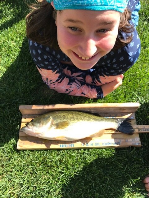 Lily 17.25 inch Large Mouth Bass