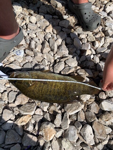 Mike 17.75 inch Small Mouth Bass