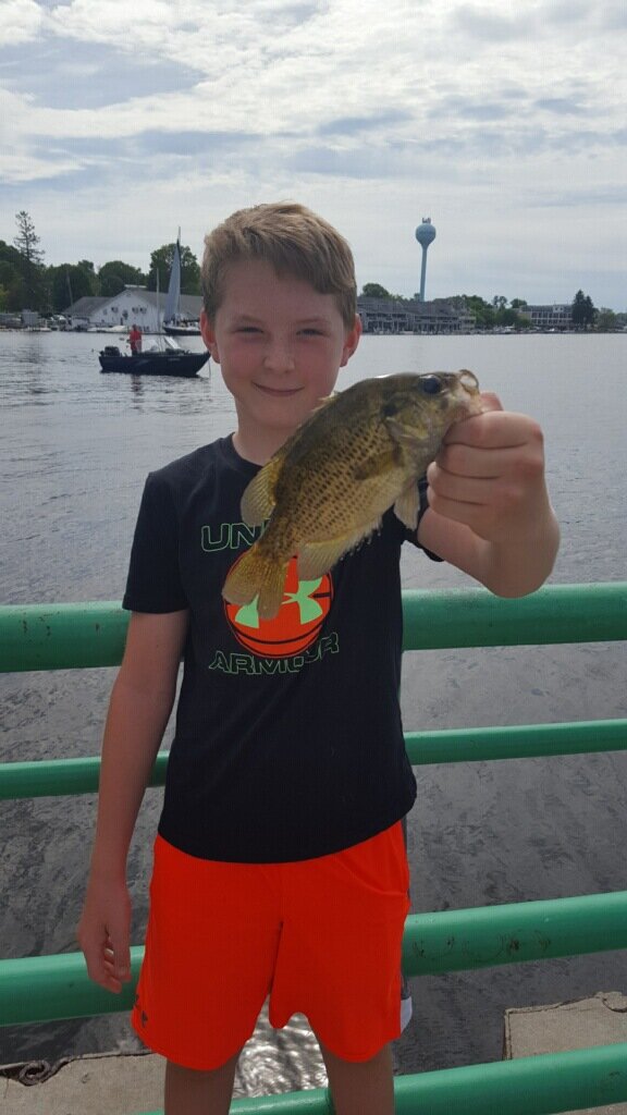 Mike 8.5 inch Rock Bass