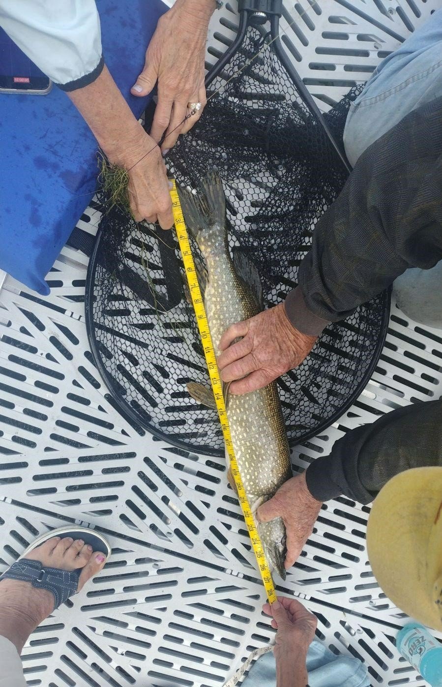 Seth Tappel 28 inch Northern Pike.jpeg