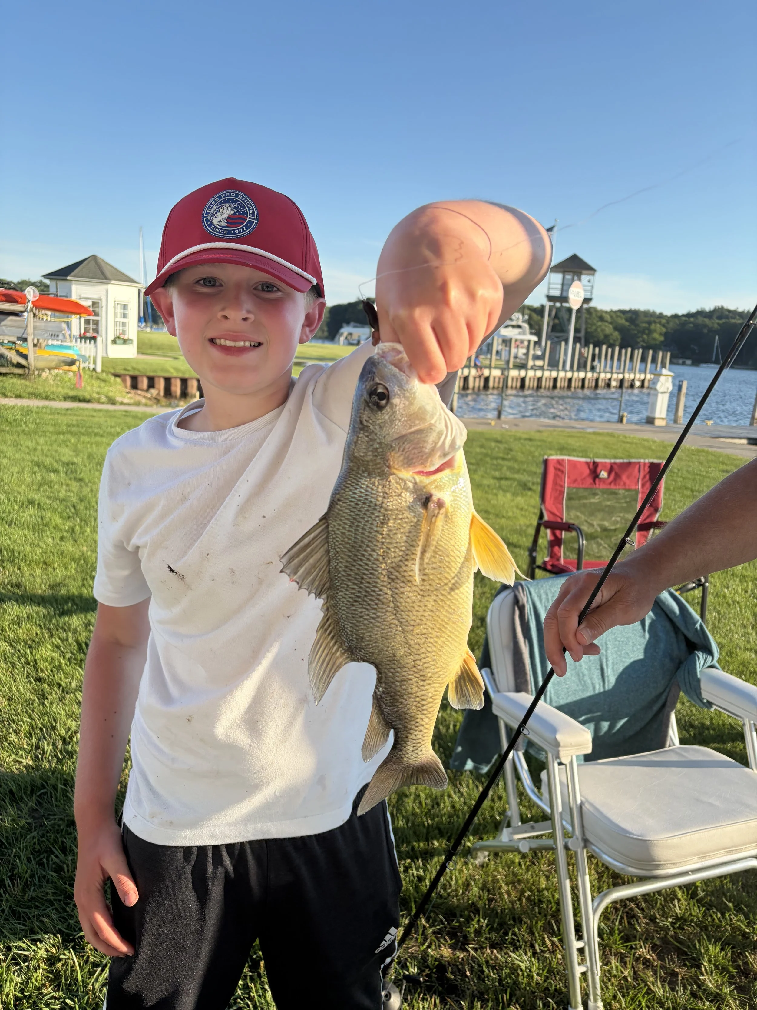 Sheepshead.Parker Smith. 14 inch.jpeg