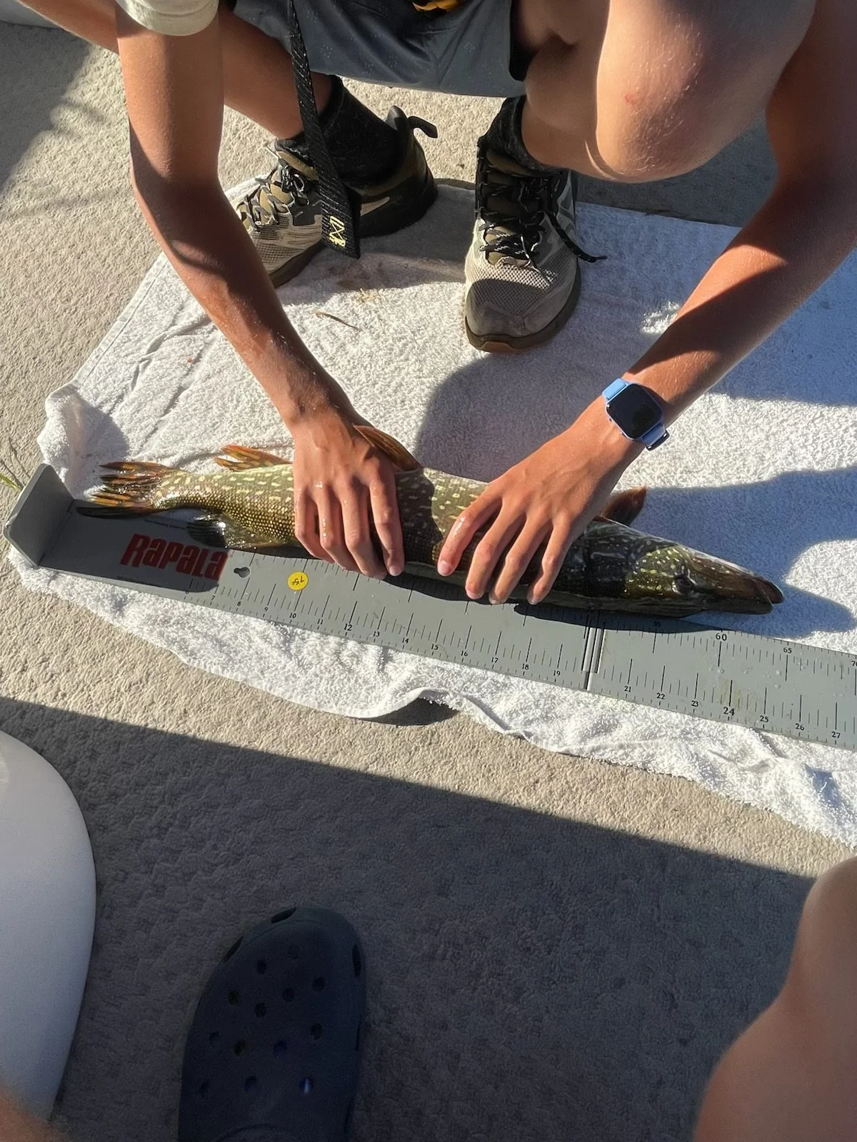 Northern Pike. Preston Slotsema. 25 inch .jpeg