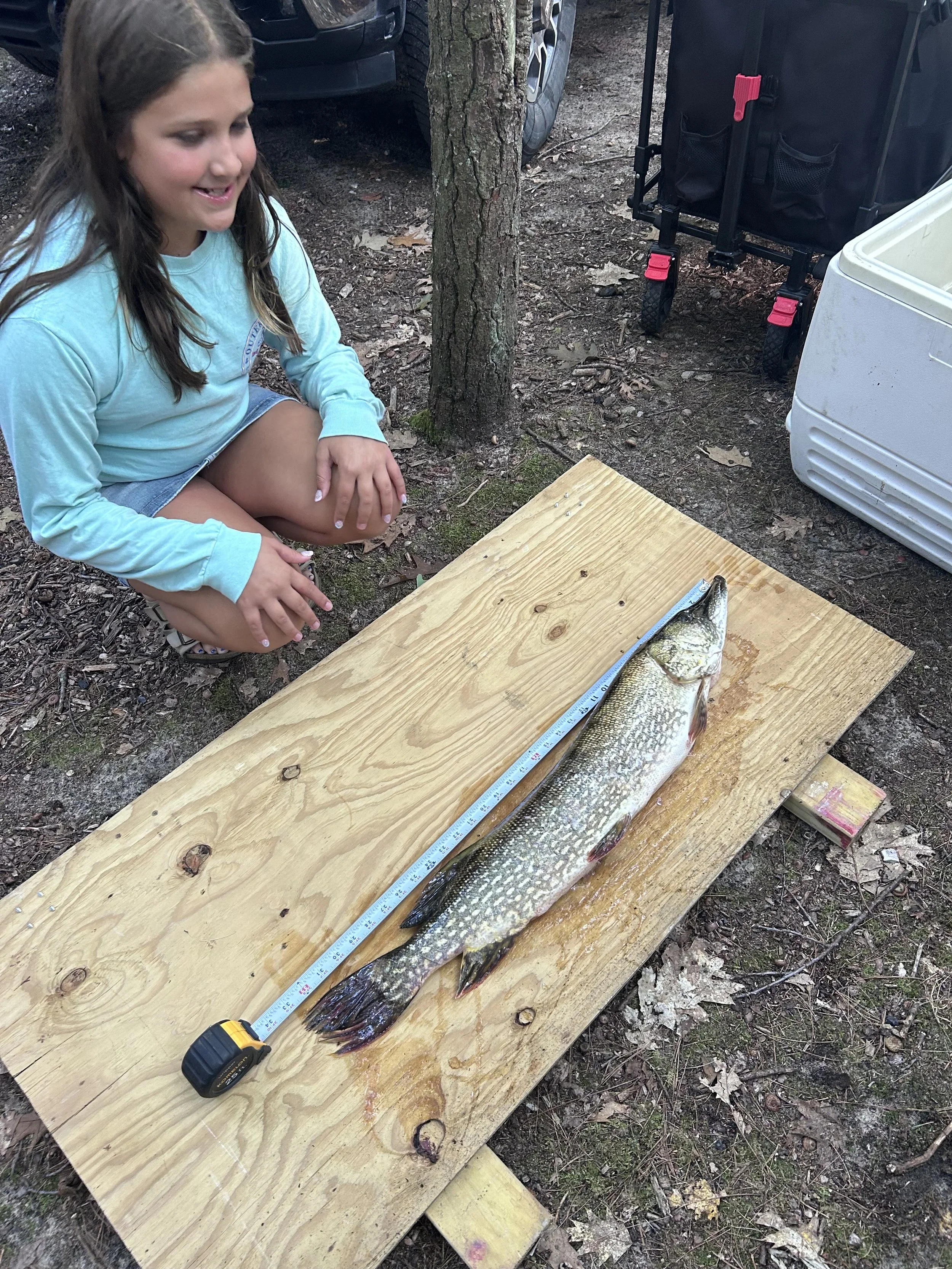 Northern Pike. Eva Wilson. 33.25 inch.jpeg