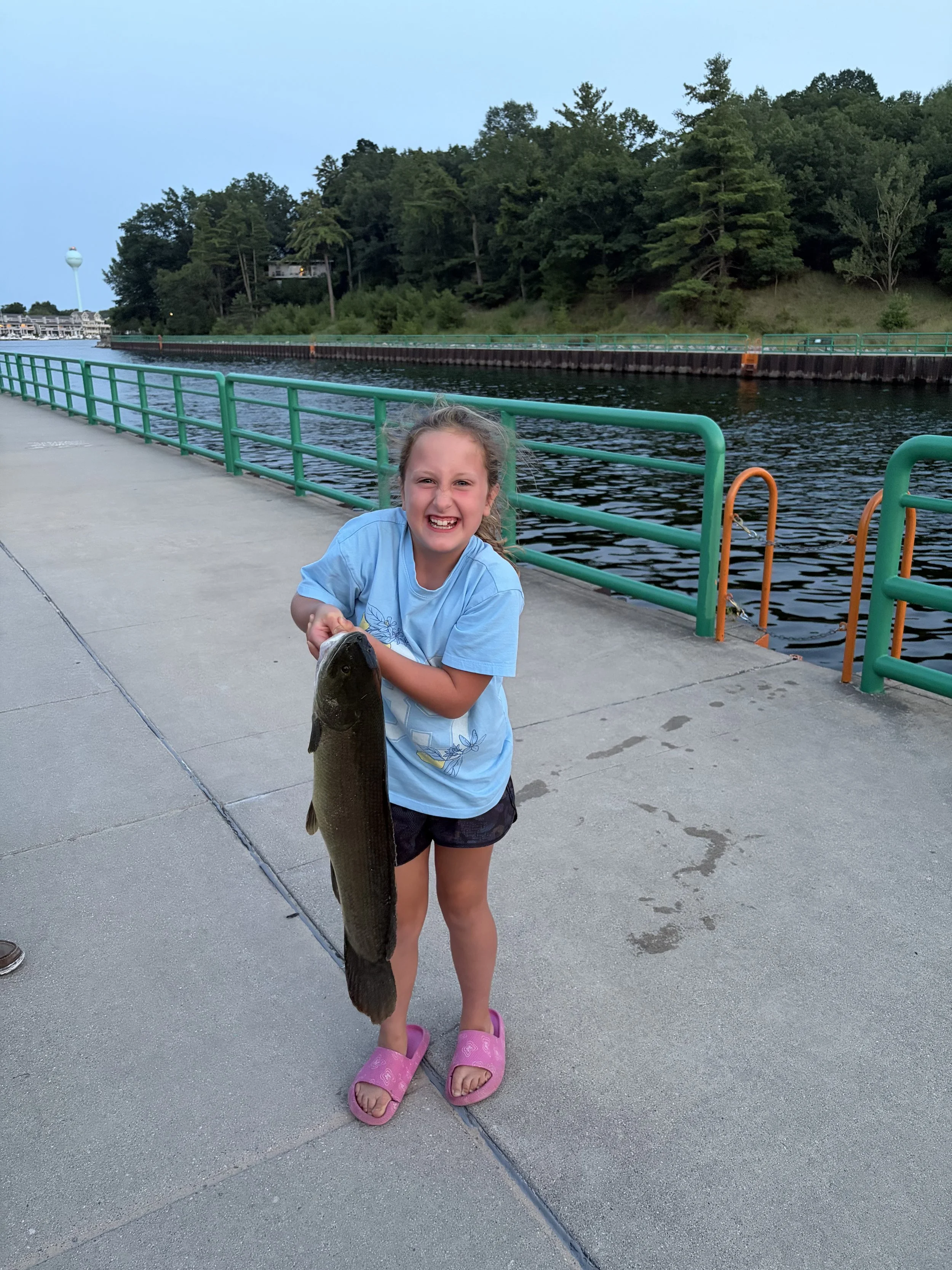 Dogfish.Bowfin. Bernadette Miller. 24 inch.jpeg