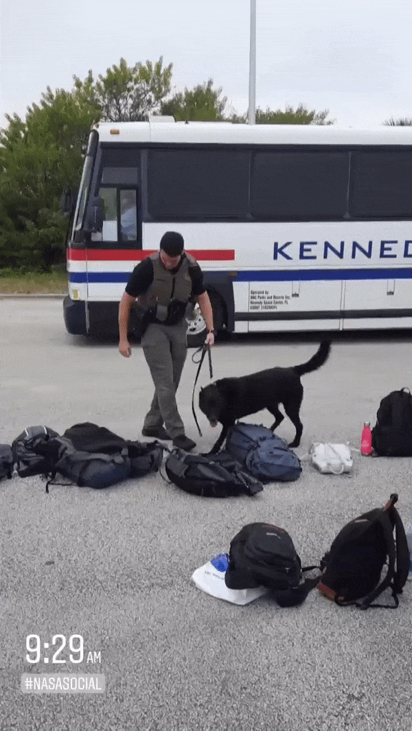 A quick security sweep…