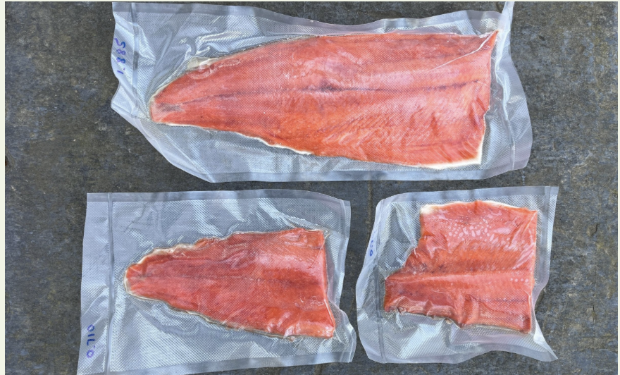 Salmon filets (large: 1 pounds)