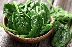 spinach.jpeg