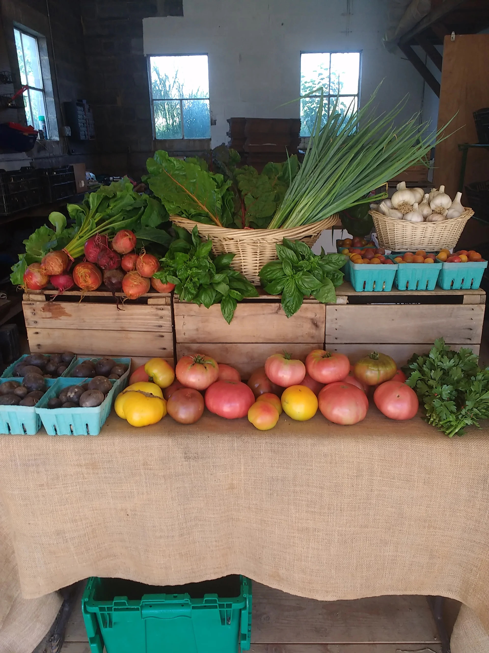 summerfarmstand.jpg