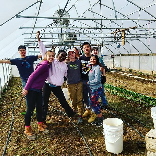 Huge (belated) thank you to UMD alternative spring breakers and the Chesapeake Bay Foundation.  Thanks to them all of my winter veg is now cleared out to make room for spring! (And four poorly situated baby bunnies have been re-homed off farm) #notin