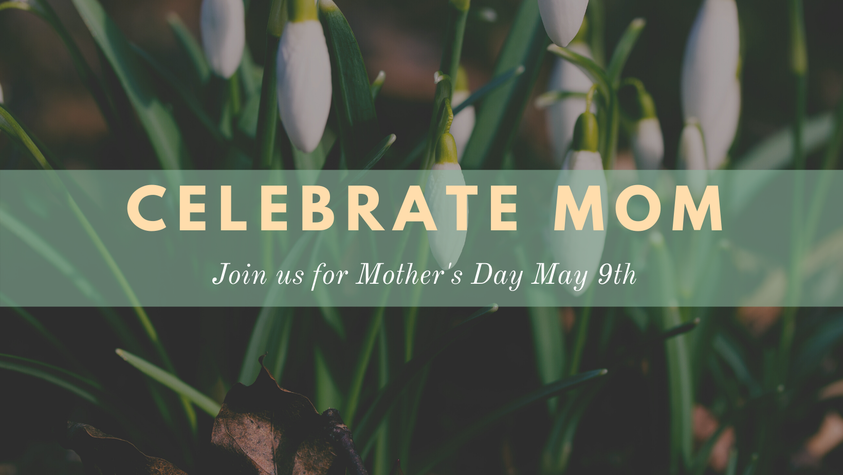 Mother's Day