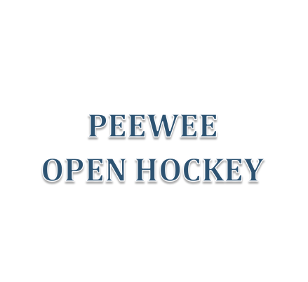 PeeWee Open Hockey