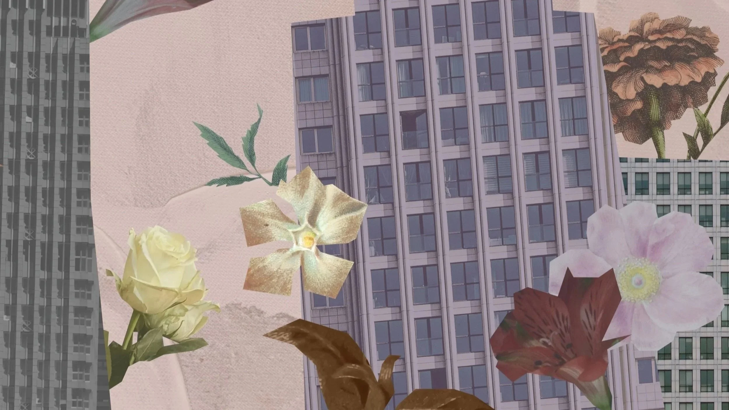 IYLSTTalbumcover_digital.jpg